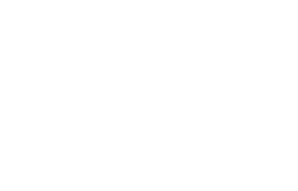 Vida logo
